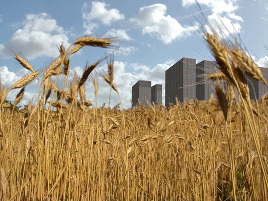 the Silosluis in the fields of the Noordwaard